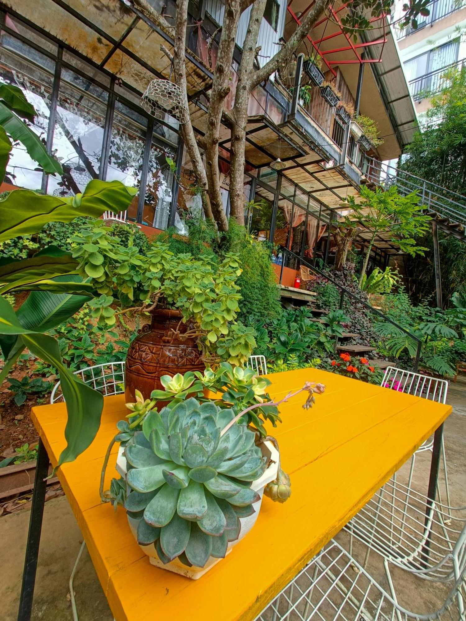 Lalaland Homestay Da Lat Camera foto