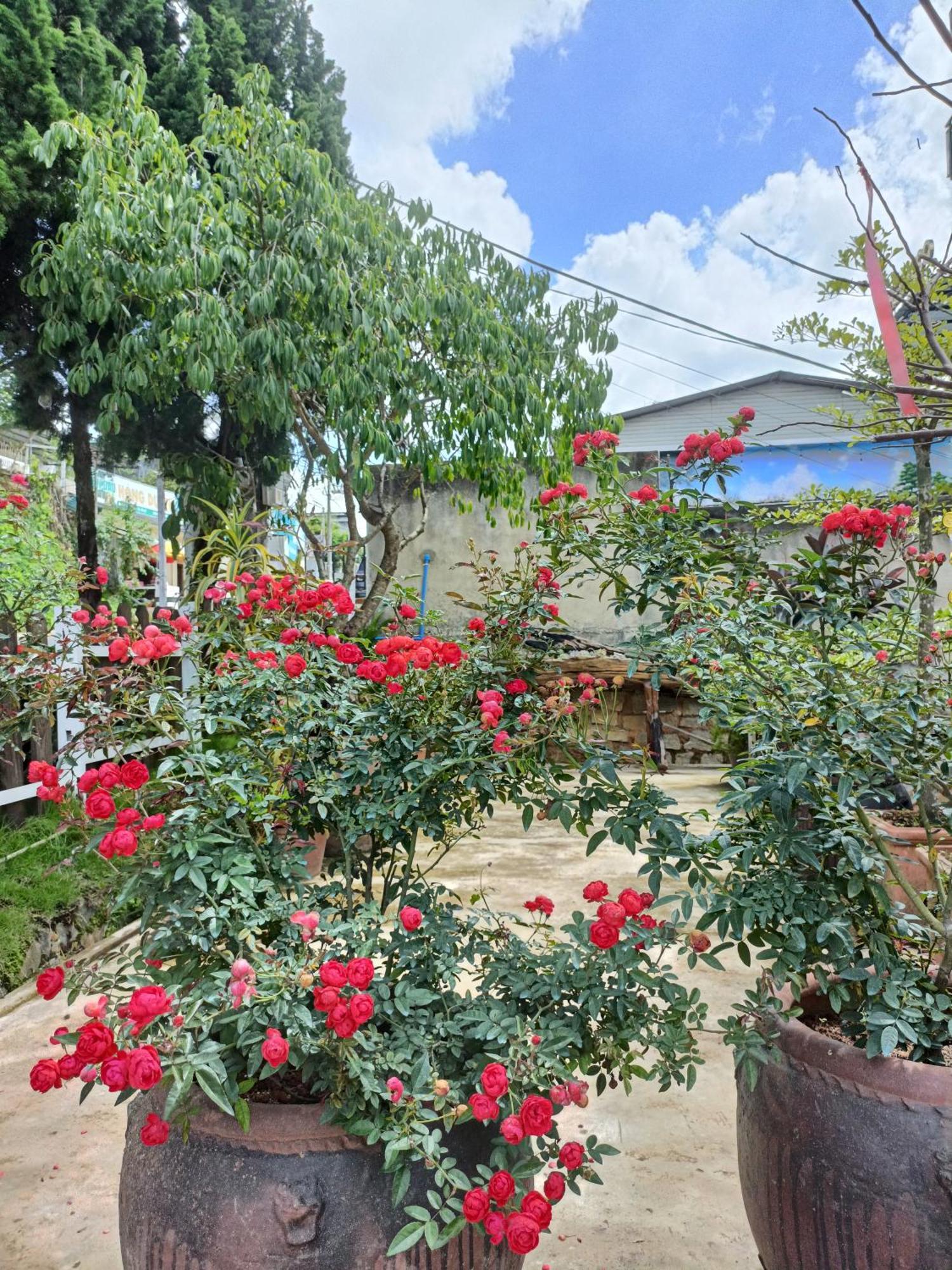 Lalaland Homestay Da Lat Esterno foto